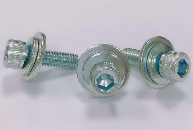 Screw and Washer Assembly 03