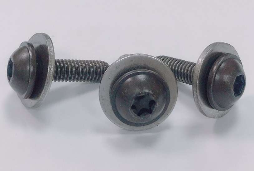 Screw and Washer Assembly 14